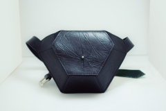 Black Obsidian Fanny Pack